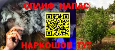 кокс Донской